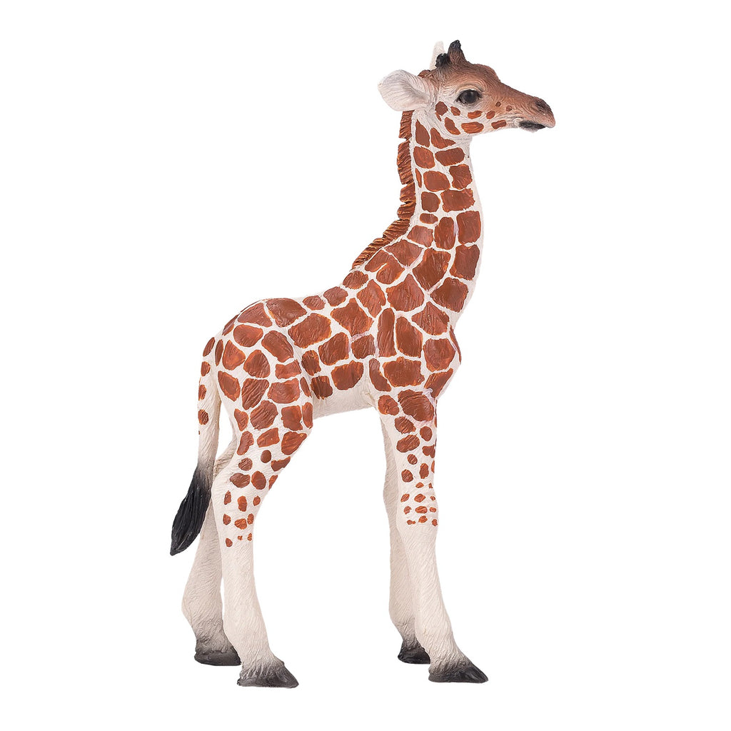 Animal Planet - Mojo Giraffe Calf