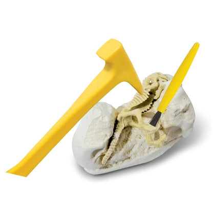 Dinosaur Treasure Hunt