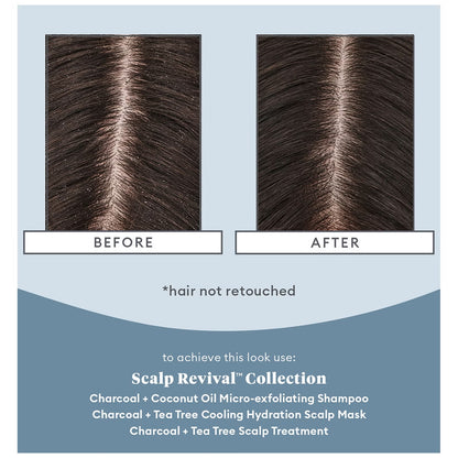 Briogeo Scalp Revival Soothe + Detoxify Minis Hair Kit