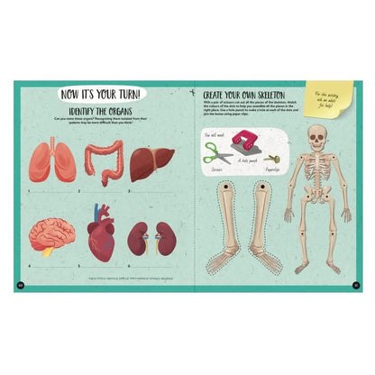 Sassi - What, How, Why The Human Body