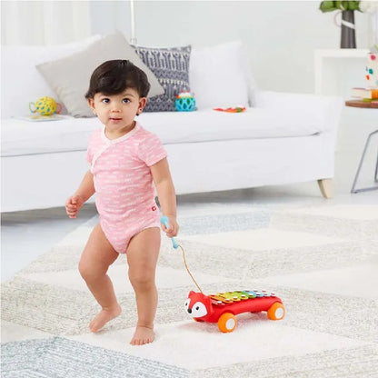 Skip hop - Explore & More Xylophone Fox