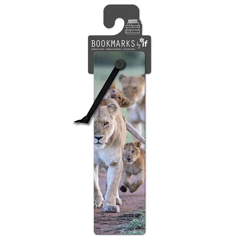 if-3D Bookmark - African Lion Cubs