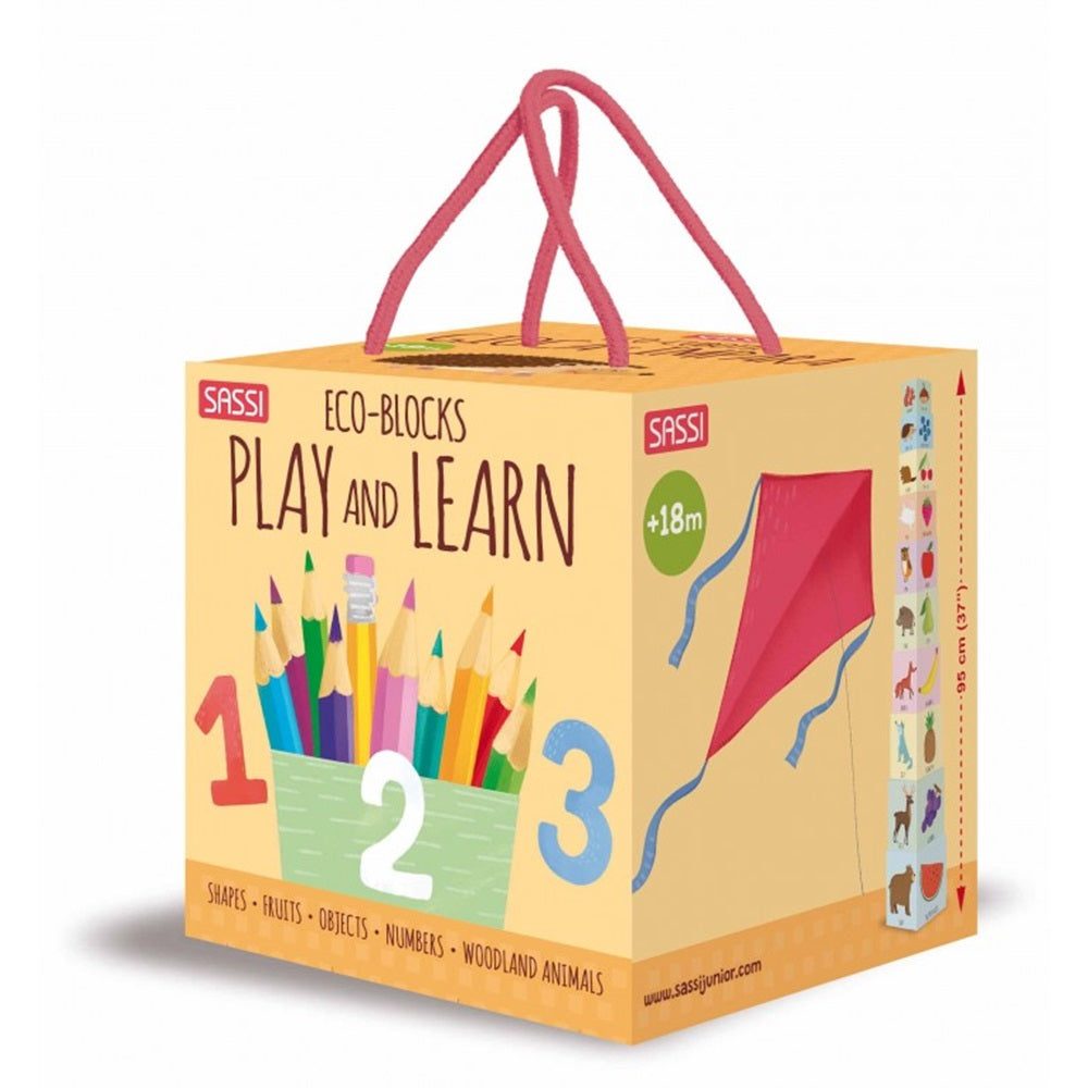 Sassi - Eco-Blocks Play And Learn