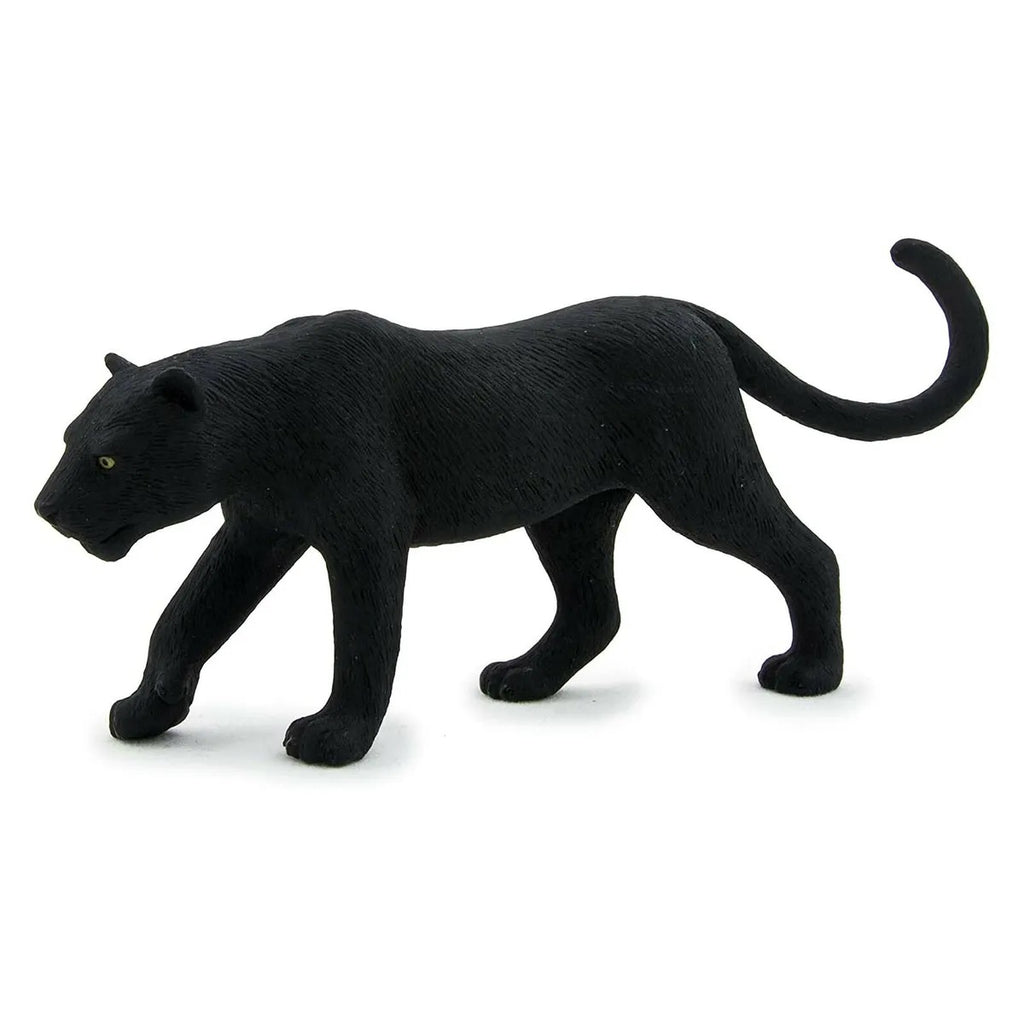 Animal Planet - Mojo Black Panther