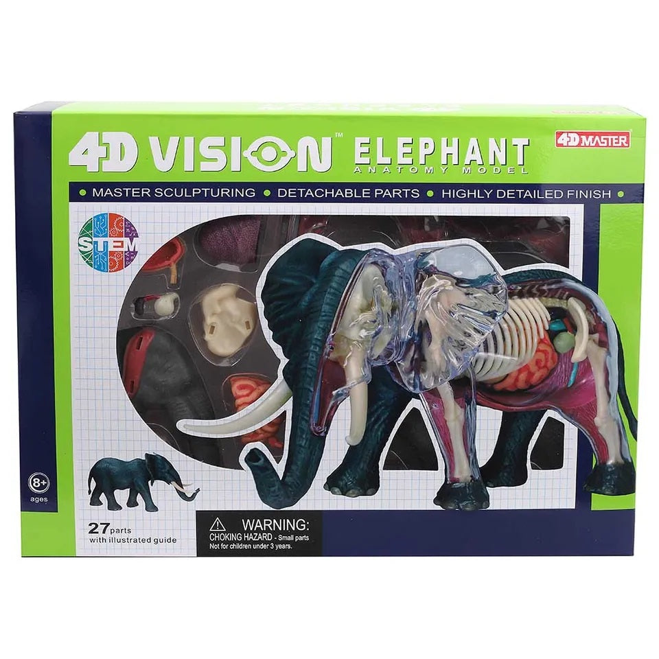 Chapmei 4D Elephant Anatomy