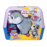 Little Live Pets Ouchies Deluxe Single pk Aspen Husky