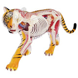 Champei 4D Vision Animal - Tiger