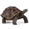 Animal Planet - Mojo Giant Tortoise