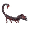 Animal Planet - Mojo Emperor Scorpion