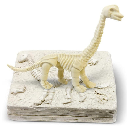 Dinosaur Treasure Hunt