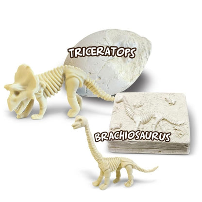 Dinosaur Treasure Hunt