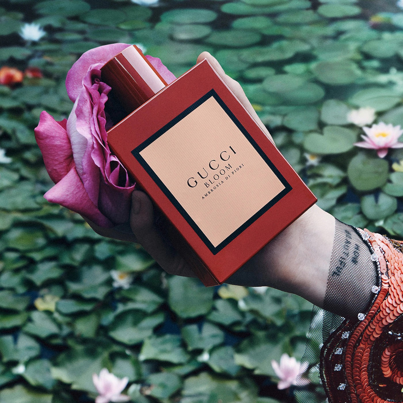 Gucci Bloom Ambrosia Di Fiori Eau De Parfum, 50ml