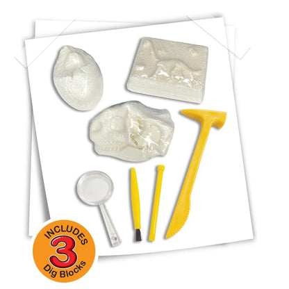 Dinosaur Treasure Hunt