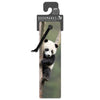 If - 3D Bookmark - Giant Panda