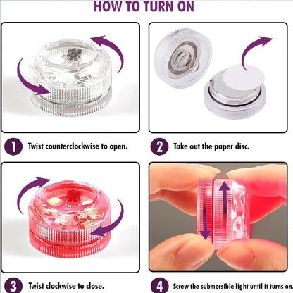 Creoos Unicorn Terrarium Kit