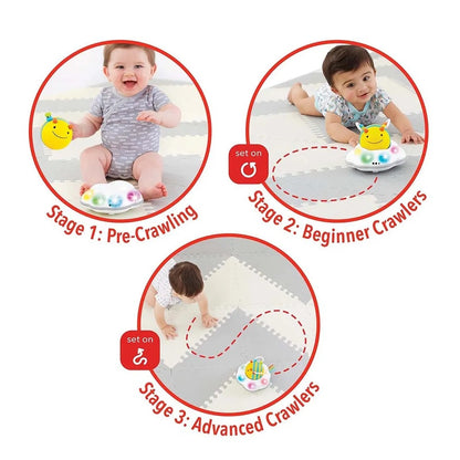 Skip Hop - Explore & More Follow Bee Crawl Toy