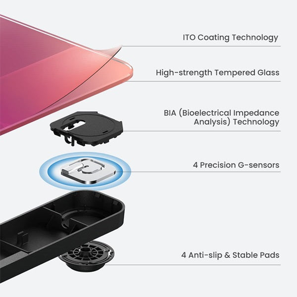 Renpho Elis 2 Smart Body Weight Scale - Gradient