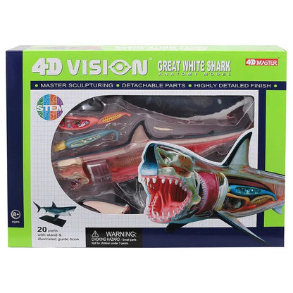 Chapmei 4D Great White Shark Anatomy