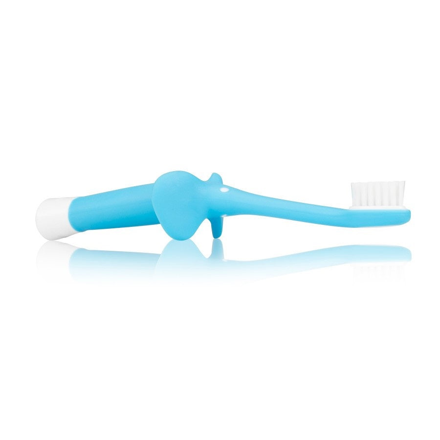 Dr. Brown's Infant-to-Toddler Toothbrush - Blue