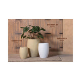Akaar Planters - Linea Everest Collection