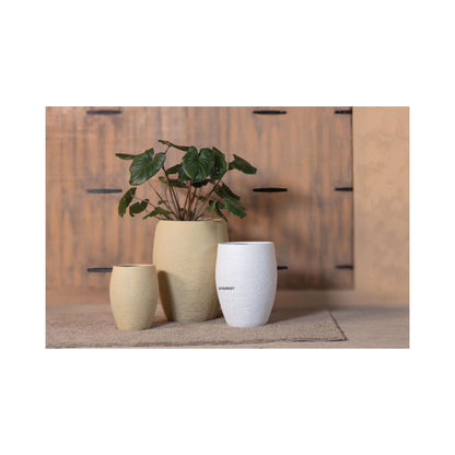 Akaar Planters - Linea Everest Collection