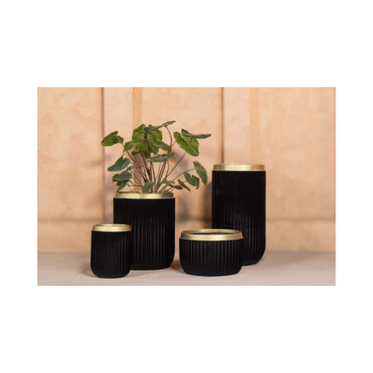 Akaar Planters - Linea Flute Collection