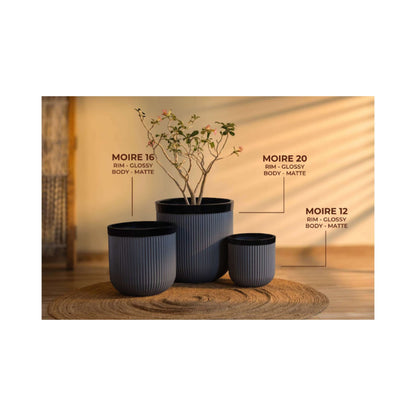 Akaar Planters - Linea Moire Collection