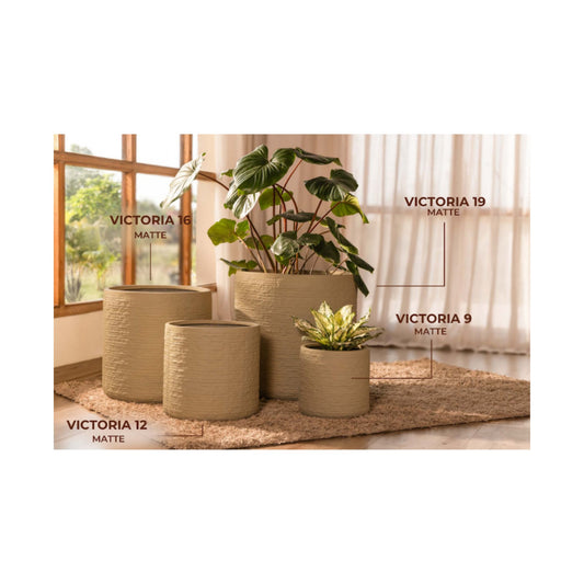 Akaar Planters - Linea Victoria Collection