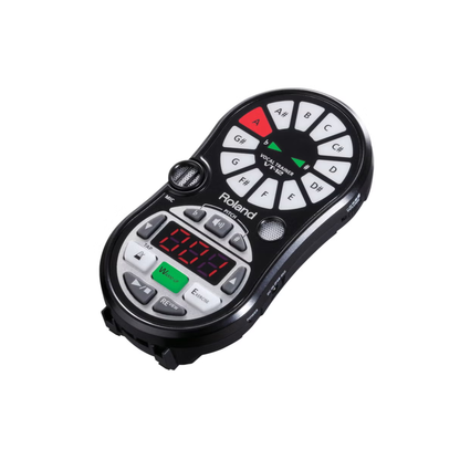 Roland VT-12 - Vocal Trainer (Black)