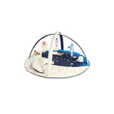 Skip Hop Celestial Dreams Activity Gym Multi Color