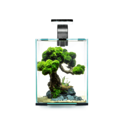 Aquael Shrimp Set Smart Black Day & Night 10L