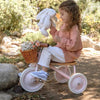 Banwood Toys Toddler tricycle- Pink