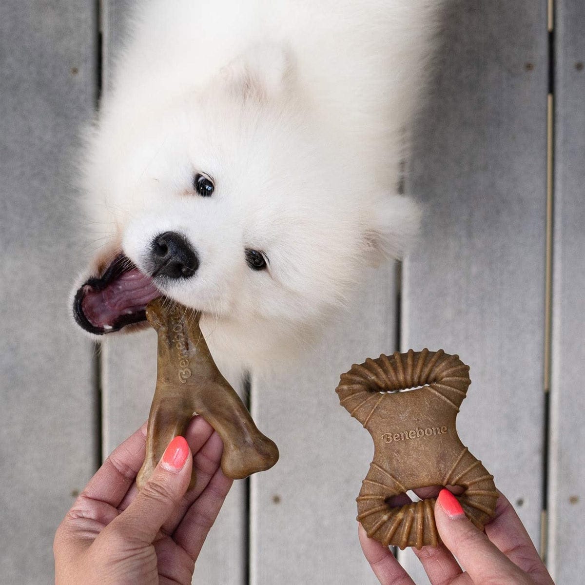 Benebone Pet Supplies Benebone 2-Pack Dental Chew/Wishbone Bacon - Tiny