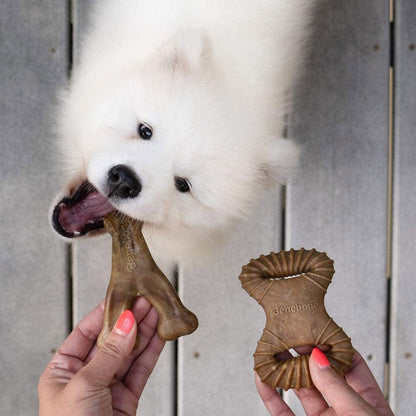 Benebone Pet Supplies Benebone 2-Pack Dental Chew/Wishbone Bacon - Tiny