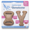 Benebone Pet Supplies Benebone Puppy 2-Pack Dental Chew/Wishbone Bacon - Tiny