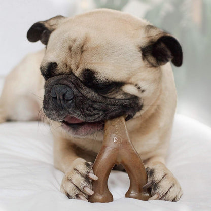 Benebone Pet Supplies Benebone Wishbone Peanut - Small