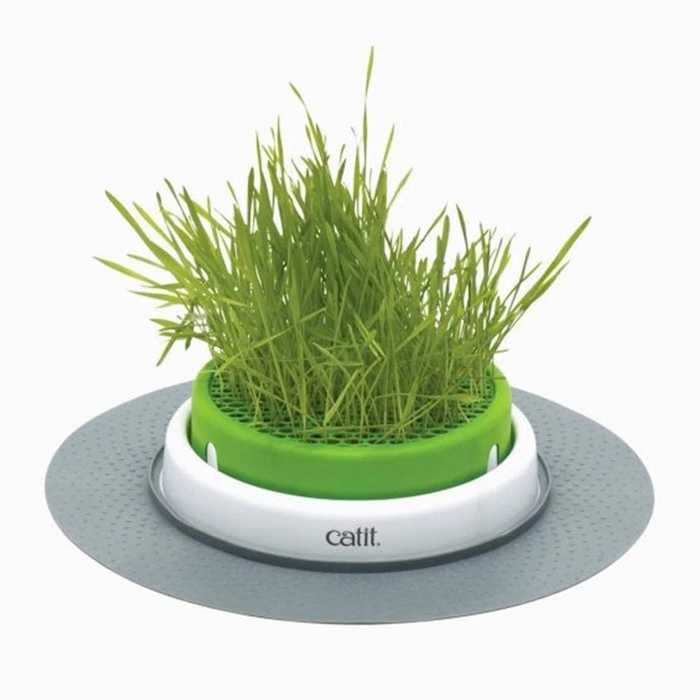 Catit pet Catit Senses 2.0 Grass Planter