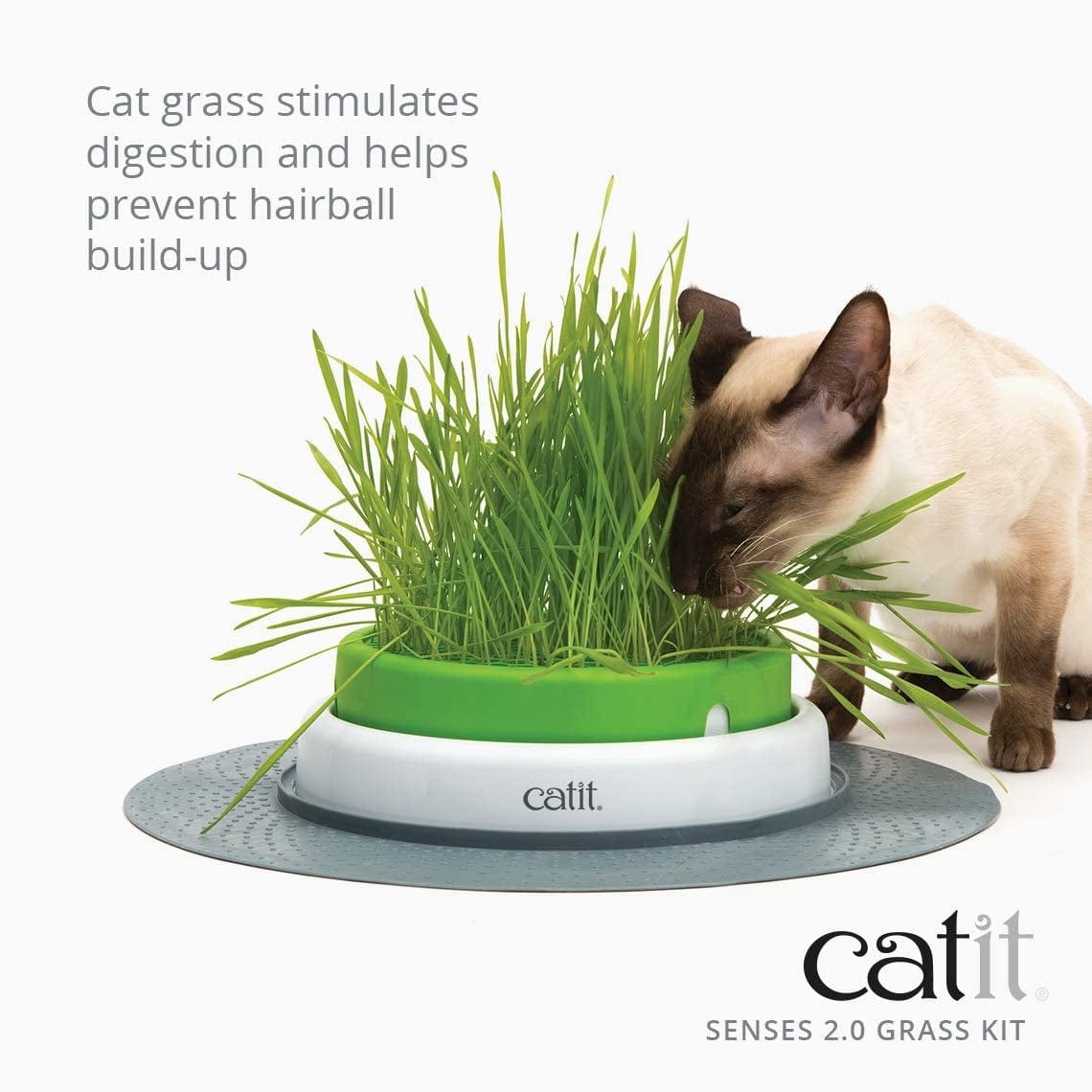 Catit Pet Supplies Catit Cat Grass Kit - Set of 3