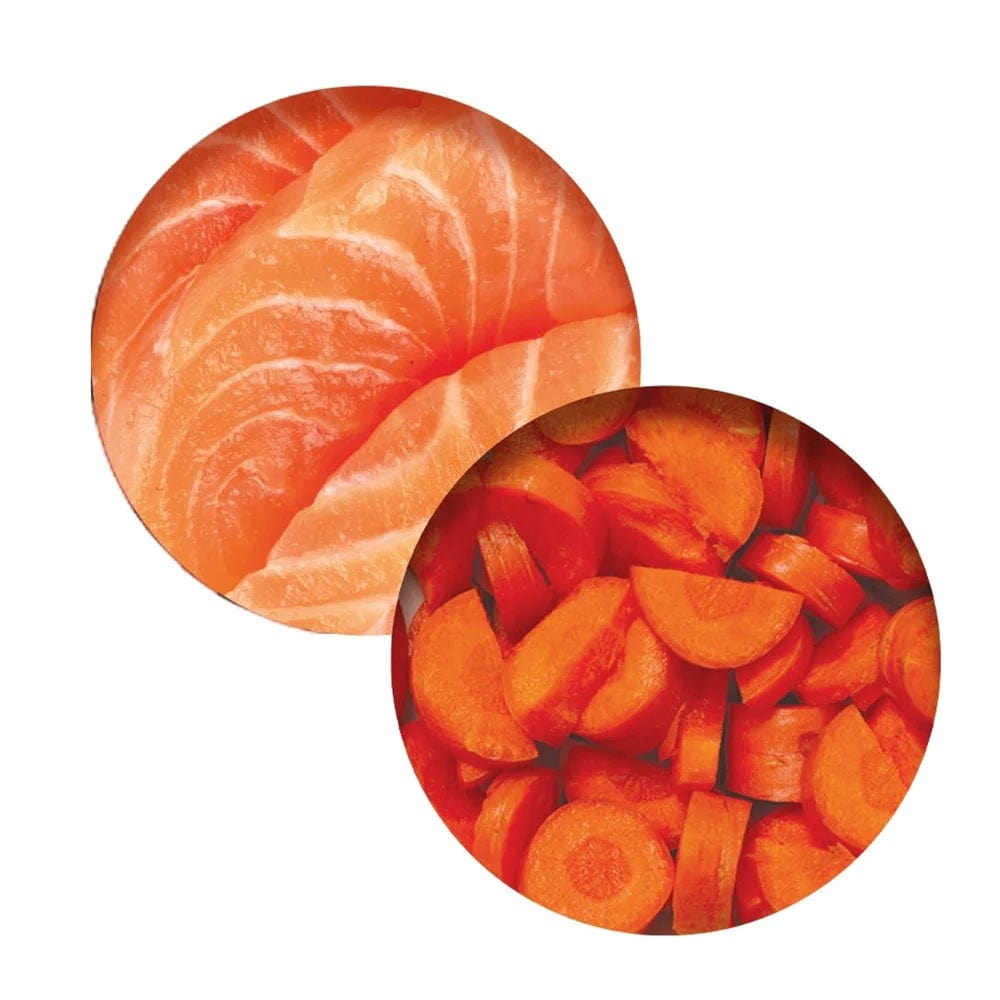 Catit Pet Supplies Catit Chicken Dinner, Salmon & Carrot 80g