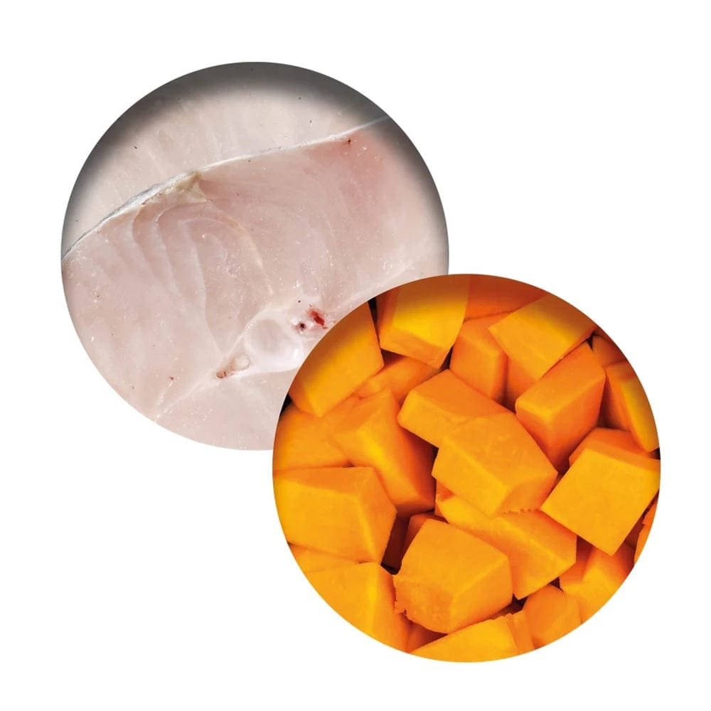 Catit Pet Supplies Catit Fish Dinner, Whitefish & Pumpkin 80g