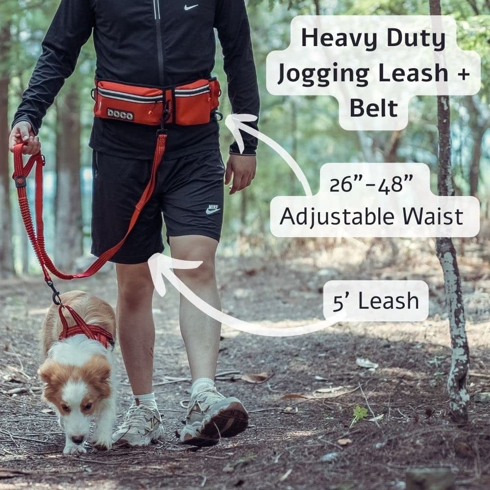 Doco Pet Supplies Doco® Reflective Jogging Belt W/Reflective Nylon Bungee Leash - Red