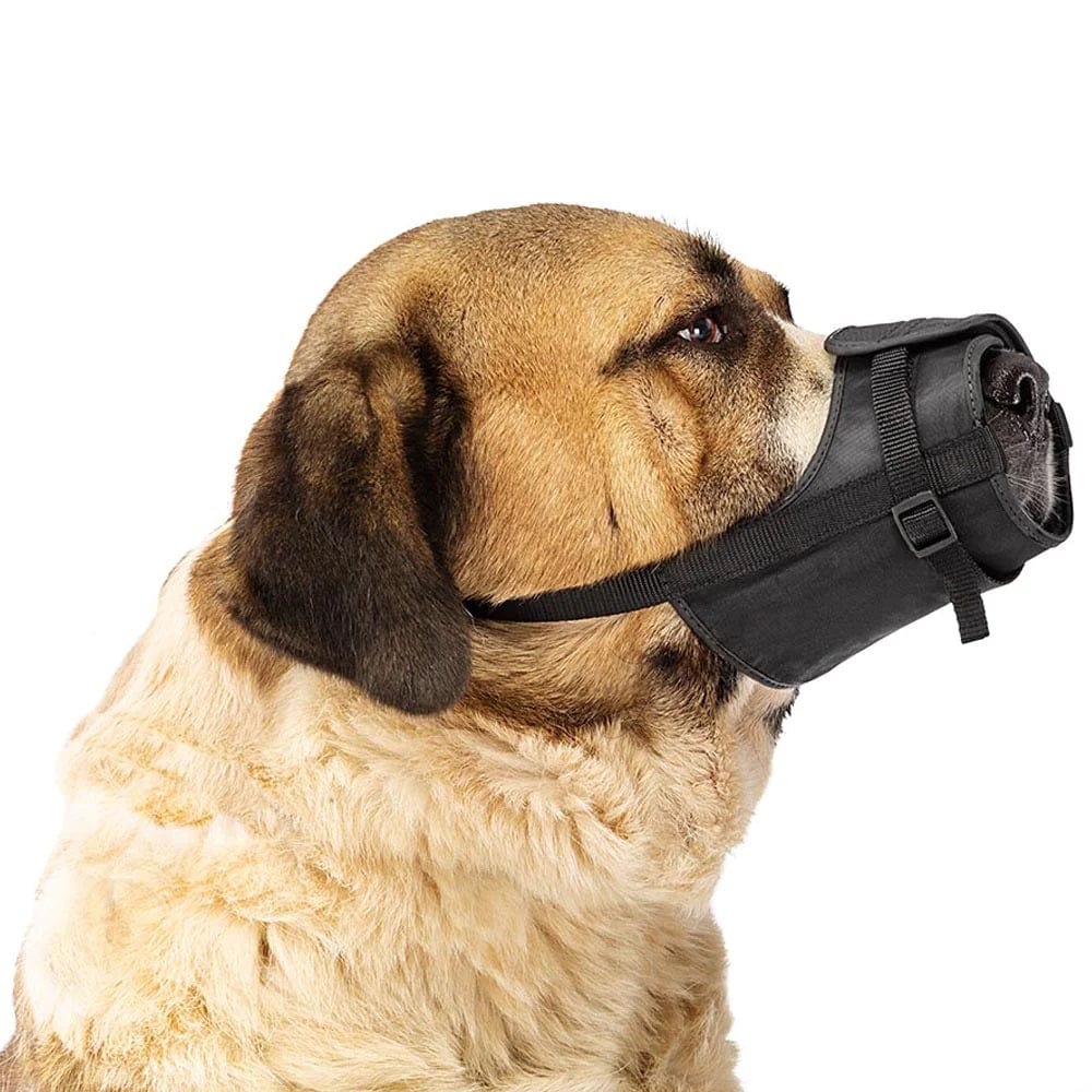 Ferplast Pet Supplies Ferplast Adjustable Padded Dog Muzzle Safe - Extra Large/Black