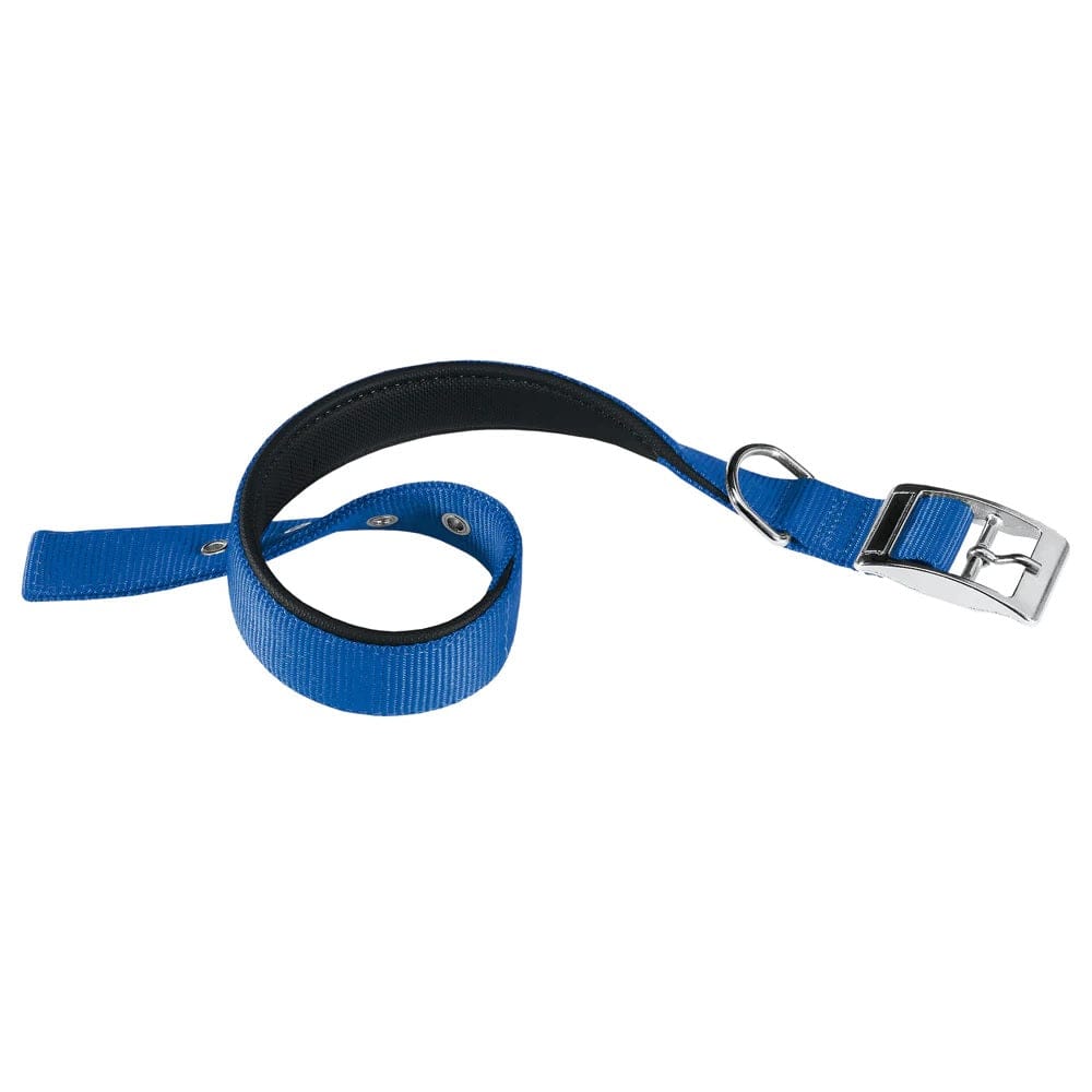 Ferplast Pet Supplies Ferplast Daytona C25/45 Nylon Dog Collar - Blue