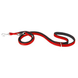 Ferplast Pet Supplies Ferplast Daytona GA15/200 Nylon Dog Leash - Red