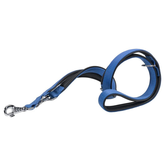 Ferplast Pet Supplies Ferplast Daytona GA20/200 Nylon Dog Leash - Blue