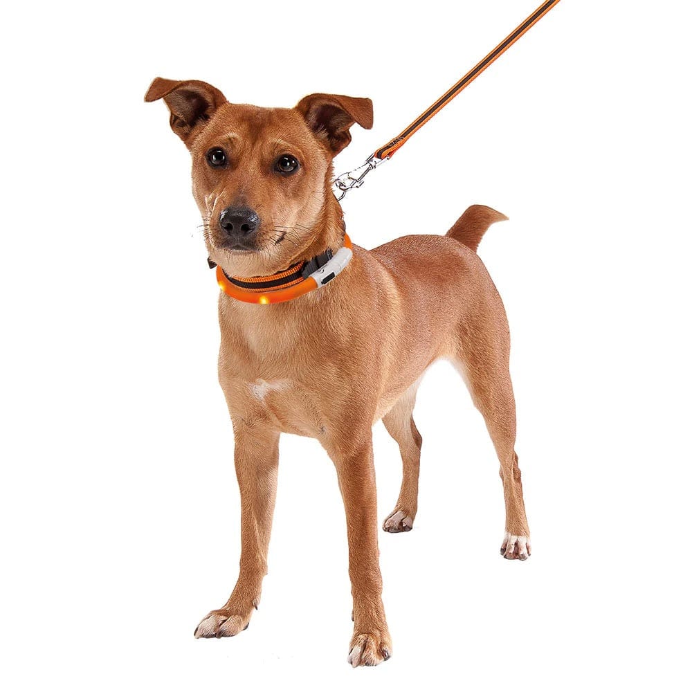 Ferplast Pet Supplies Ferplast Night Over Flash Collar 55