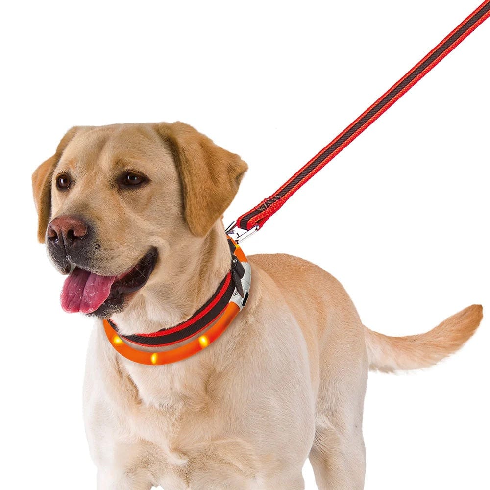 Ferplast Pet Supplies Ferplast Night Over Flash Collar 55
