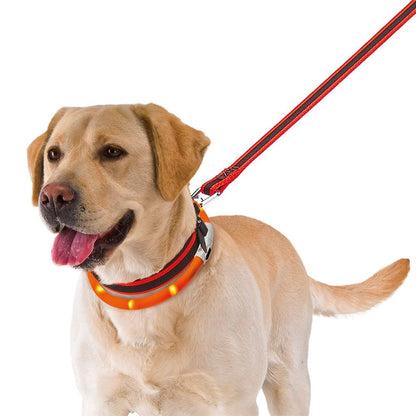 Ferplast Pet Supplies Ferplast Night Over Flash Collar 55