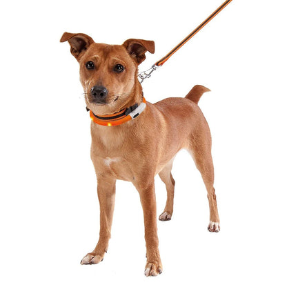 Ferplast Pet Supplies Ferplast Night Over Flash Collar 70