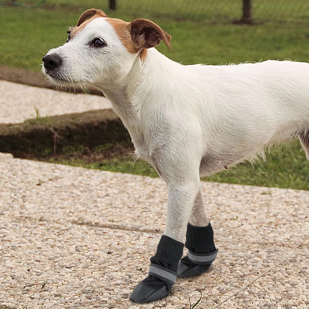 Ferplast Pet Supplies Ferplast Protective Dog Shoes - Black - Small